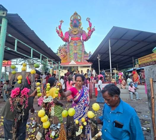 விழுப்புரம் அரசூர் வாராகி அம்மன் கோவிலில் கோலாகலமாக நடைபெற்ற கருட பஞ்சமி திருவிழா