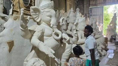விழுப்புரம் அய்யன்கோவில்பட்டில் விநாயகர் சிலை தயாரிக்கும் பணி மும்முரம்: விநாயகர் சதுர்த்திக்கு தயாராகும் சிலைகள்
