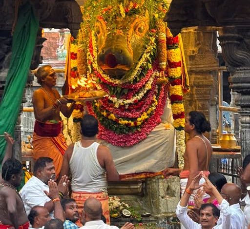 திருவண்ணாமலை அண்ணாமலையார் கோயிலில் நடைபெற்ற பிரதோஷ தீபாராதனை