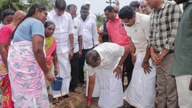 காரைக்காலில் பனை விதை நடும் பணி: உள்துறை அமைச்சர் ஆ. நமச்சிவாயம் தொடங்கி வைத்தார்!