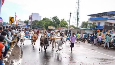 புதுக்கோட்டையில் லட்சிய ஜனநாயக கட்சி சார்பில் ரேக்ளா பந்தயம்: உற்சாகமாகத் தொடங்கி வைப்பு!