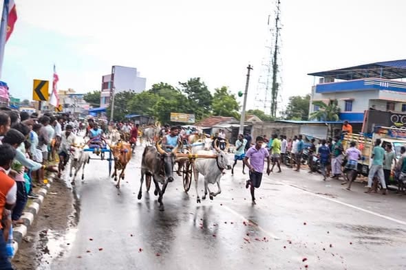 புதுக்கோட்டையில் லட்சிய ஜனநாயக கட்சி சார்பில் ரேக்ளா பந்தயம்: உற்சாகமாகத் தொடங்கி வைப்பு!