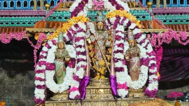 வைத்தீஸ்வரன் கோயிலில் புரட்டாசி மாத கிருத்திகை வழிபாடு: அருள்மிகு ஸ்ரீ முத்துக்குமார சுவாமிக்கு சிறப்பு அபிஷேகம், தீபாராதனை!
