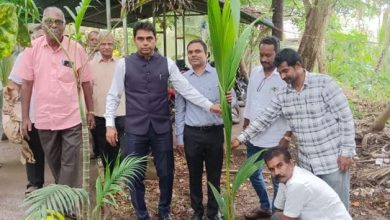 ஏனாமில் உலக தென்னை தின விழா: விவசாயிகளுக்கு தென்னங்கன்றுகளை வழங்கினார் ஆட்சியர் சிவராஜ் மீனா!
