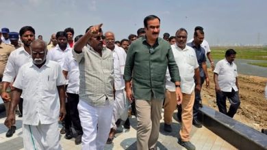 பள்ளிக்கரணை சதுப்பு நிலத்தில் சுற்றுச்சுவர் அமைப்பது வெள்ளப் பேரழிவை ஏற்படுத்தும்: அன்புமணி ராமதாஸ் எச்சரிக்கை