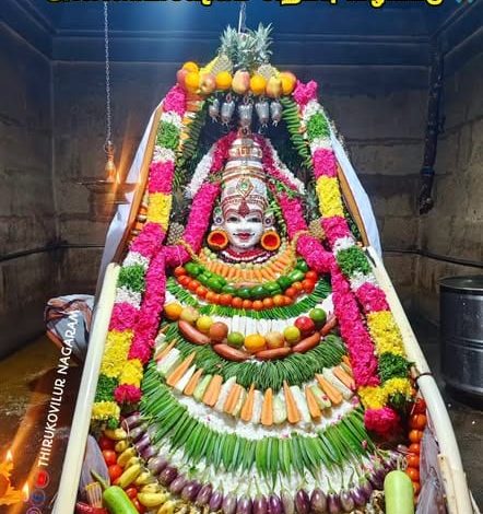அன்னாபிஷேகம் சிறப்பு வழிபாடு 🙏...