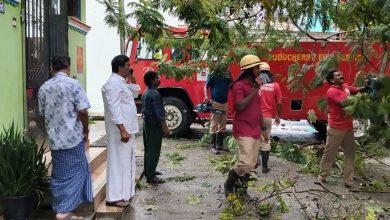 *உப்பளம் தொகுதியில் மழை மற்றும் பலத்த காற்றால் முறிந்து விழுந்த மரக்கிளையை உடனடியாக அப்புற
