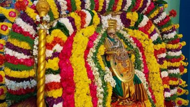திருவண்ணாமலை மீனாட்சி சுந்தரேஸ்வரர் கோயிலில் விஜயதசமி லட்சார்ச்சனை: வண்ண மலர் அலங்காரத்தில் அம்பாள் வீதி உலா!